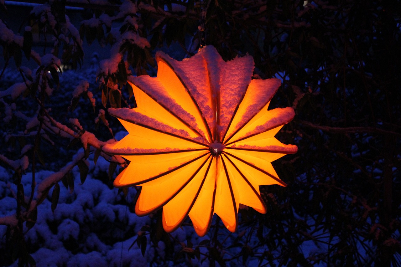 Lampion – obrázek
